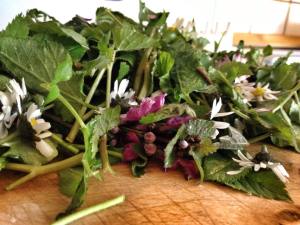 11115671_977960045549609_4540590835445378225_n