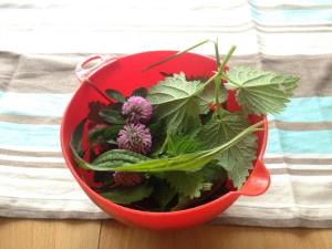 10422507_1004854739526806_809671789773729676_n