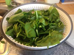 11017531_999373896741557_3268382473776245135_n