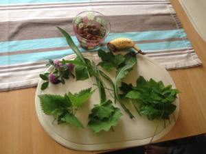 11295638_1004854809526799_5130455833607444333_n