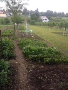 11329930_1002258583119755_4245128448022491061_n