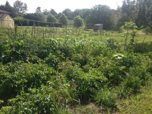 10406601_1019280431417570_2833980190197252392_n