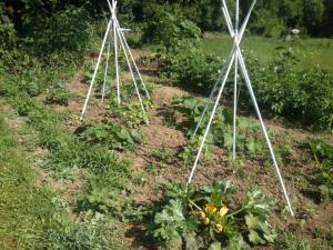 10599422_1019280604750886_8692104530013179736_n