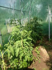 11406846_1019281118084168_8407360940493217354_n