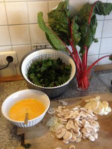 11709637_1024887940856819_8828040826910347678_n