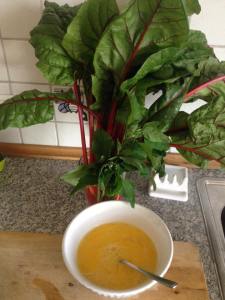 17721_1024898200855793_7289094345170334983_n