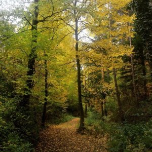 10157184_1087918047887141_6693686014786930170_n