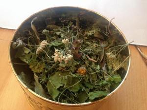 Tee_Schafgarbe_Gundermann