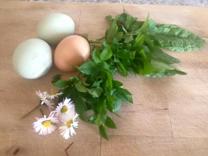 12936702_1183639101648368_8039708880075074126_n