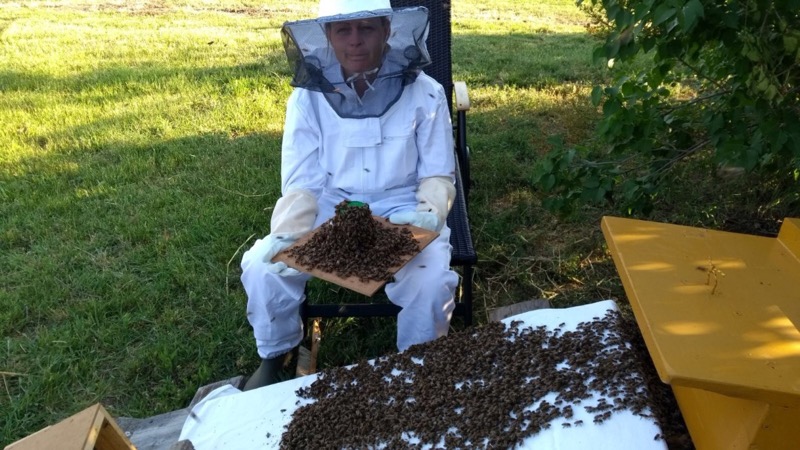 Einlauf_Schwarm2_brauneKiste_1805_19-58