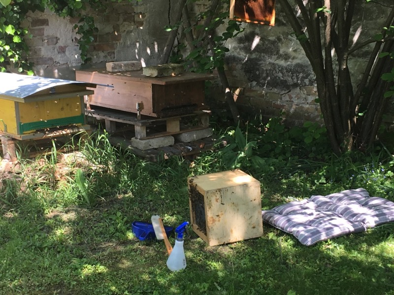 Schwarm1_brauneKiste_1405_12-22