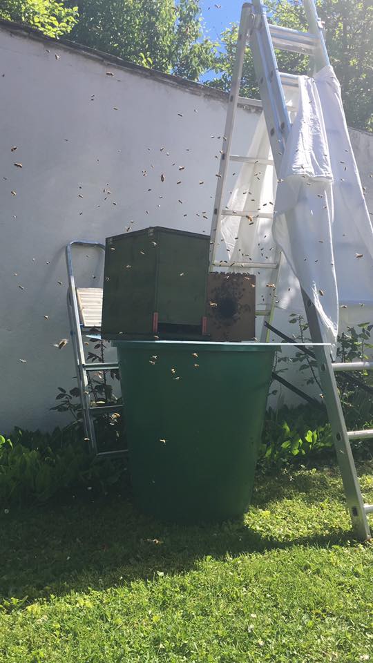 Schwarm1_gelbeKiste_1405_10-44