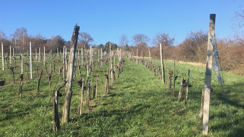 D0D3382C-2477-4617-994C-92E9CF8EE6C4