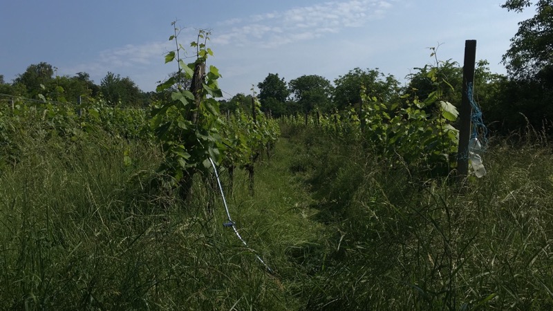 F334862F-300F-48BA-8A88-16C72345EB7B