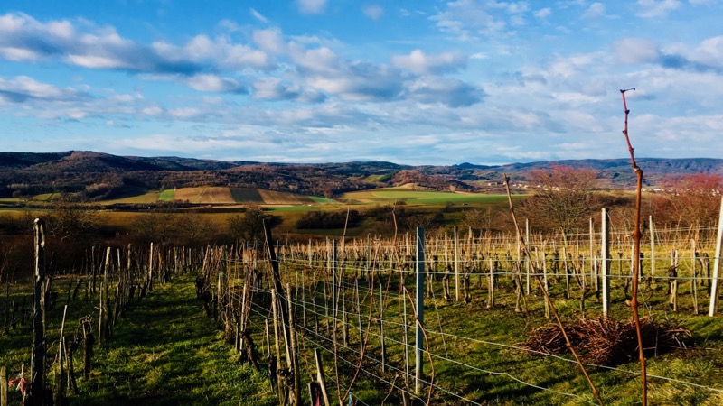 F9F06D27-BAEE-46BD-A2A4-B113B3CE8502