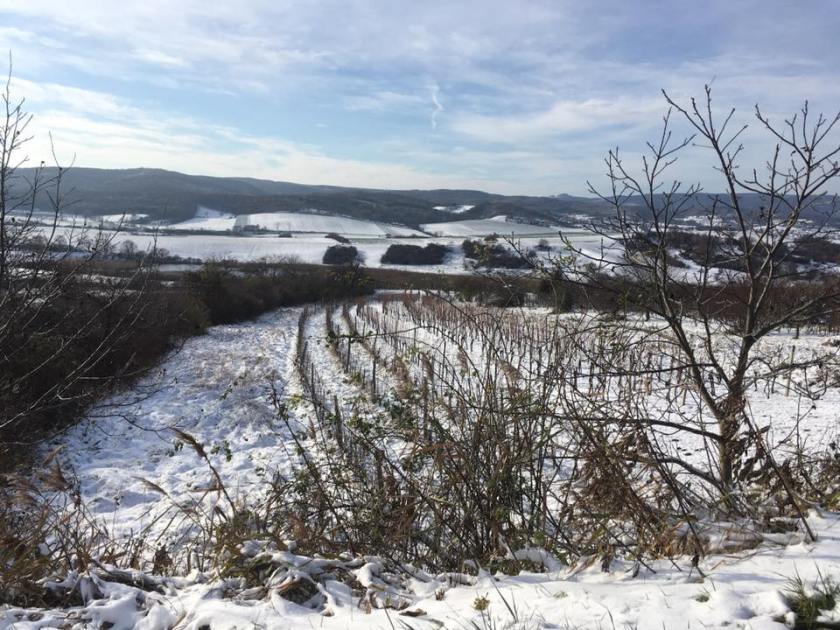 46906568_2247471828862867_1371982351579480064_n